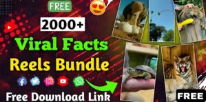 🔥 2000+ Viral Facts Reels Bundle – Ultimate Pack for Instagram, YouTube & Shorts Creators